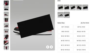 Screenshot 2025-01-28 at 1.02.54 PM